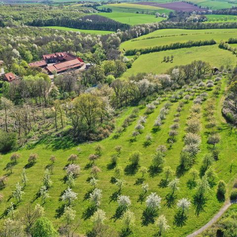 Blühende Bäume auf den Streuobstwiesen um Gut Herbigshagen in der Frühlingssonneaus der Vogelperspektive